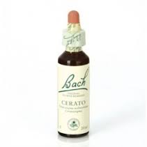 BACH 05 CERATO 20ML. BACH