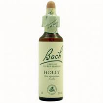 BACH 15 HOLLY 20ML.