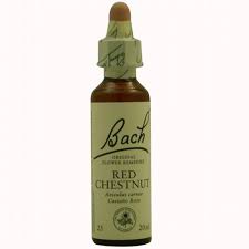 BACH 25 RED CHESNUT 20ML.