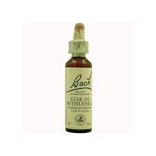 BACH 29 ESTRELLA DE BELEN 20ML. STAR OF BETHLEHEM