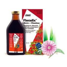 FLORADIX HIERRO MAS VITAMINAS 250ML SALUS