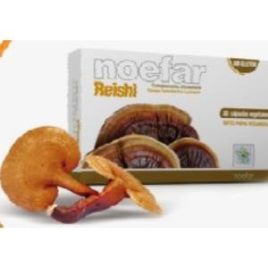 REISHI 30 CAP. NOEFAR